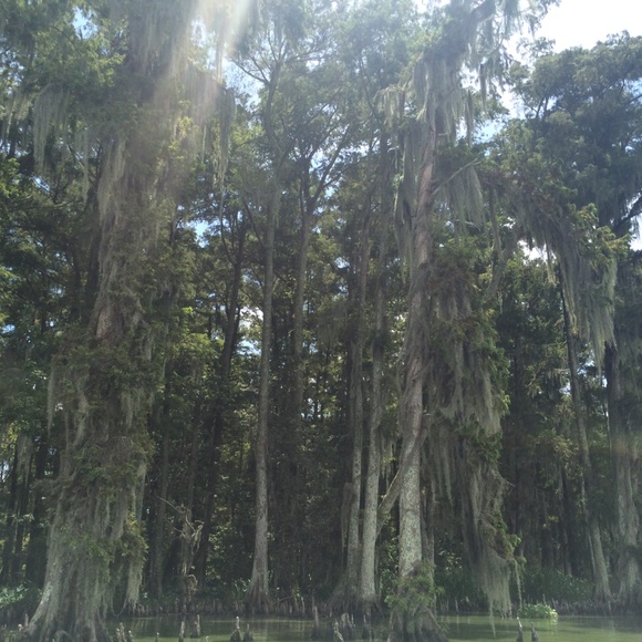 Meet your Posher, Zoe - Picture 7 of 7